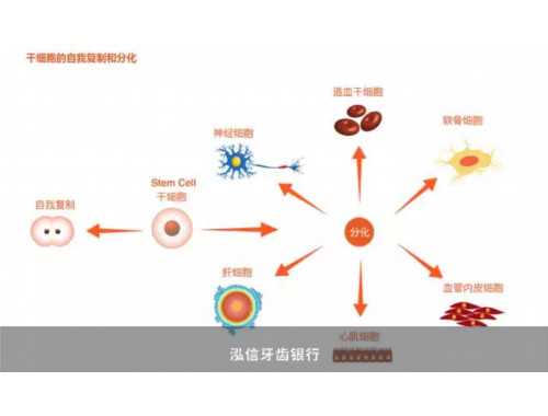 没想到最先开始奥运活动的是搜狗搜索