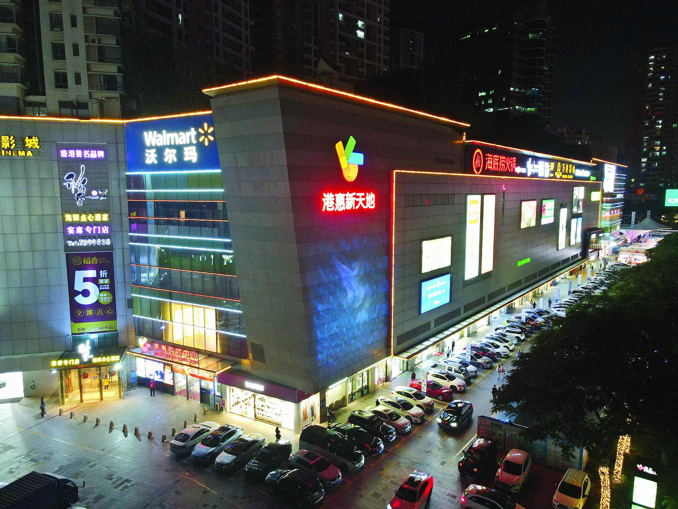 属龙处女座2025爱情运 桃花运 财富运剖析