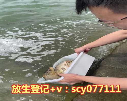 10年过去了，黎明和前妻乐基儿的人生境况有何不同？