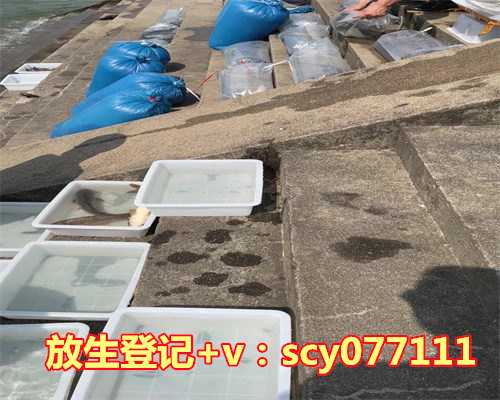 88年，35岁，生完二胎后，我觉得人生才刚刚开始！