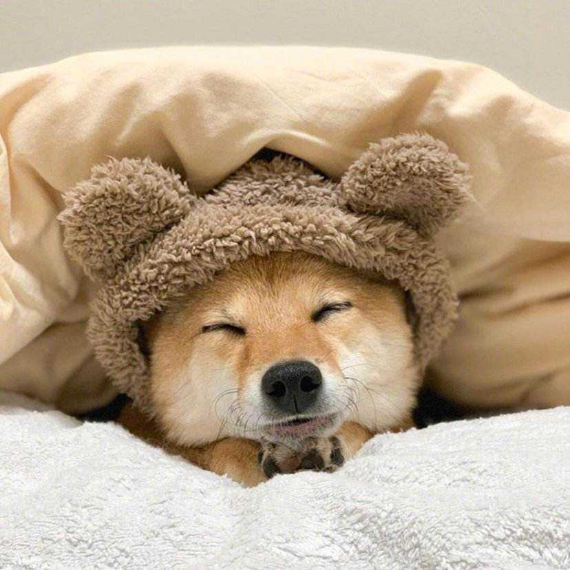 摩羯座四月份运势,会比3月还璀璨 摩羯座四月份运势,会比3月还璀璨