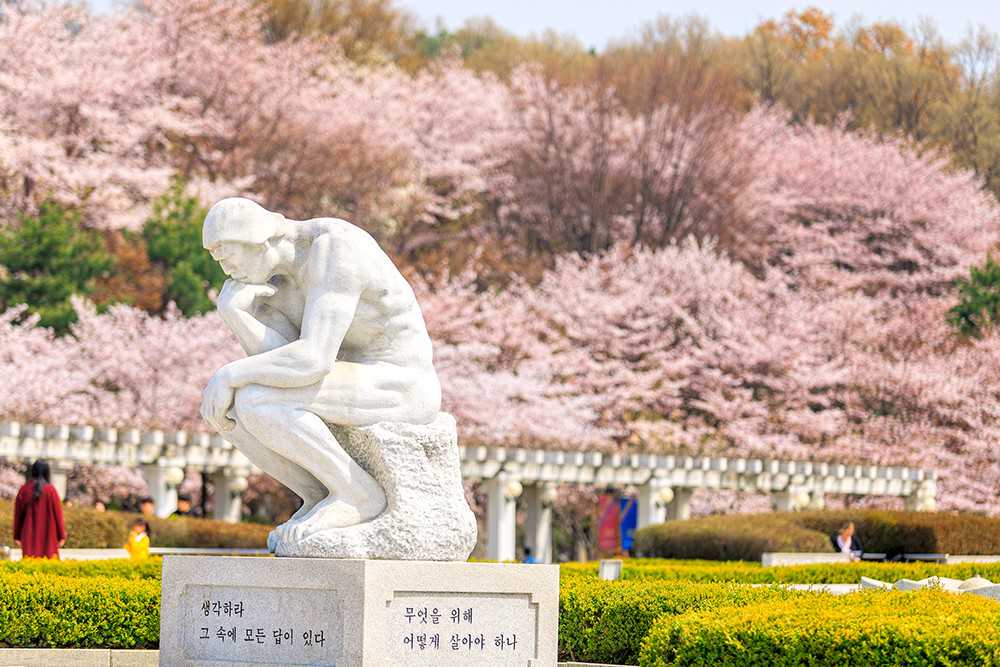 2025属龙人全年运势大揭秘，惊喜与挑战并存！