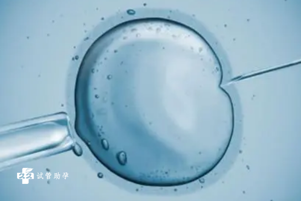 三个部位丰满的女人最旺夫：解读女性运势与婚姻的玄机