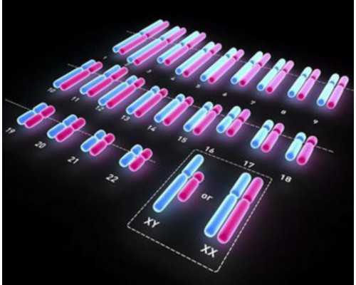 运气到底存不存在？网友回复真是透彻，你怎么看待运气一说！