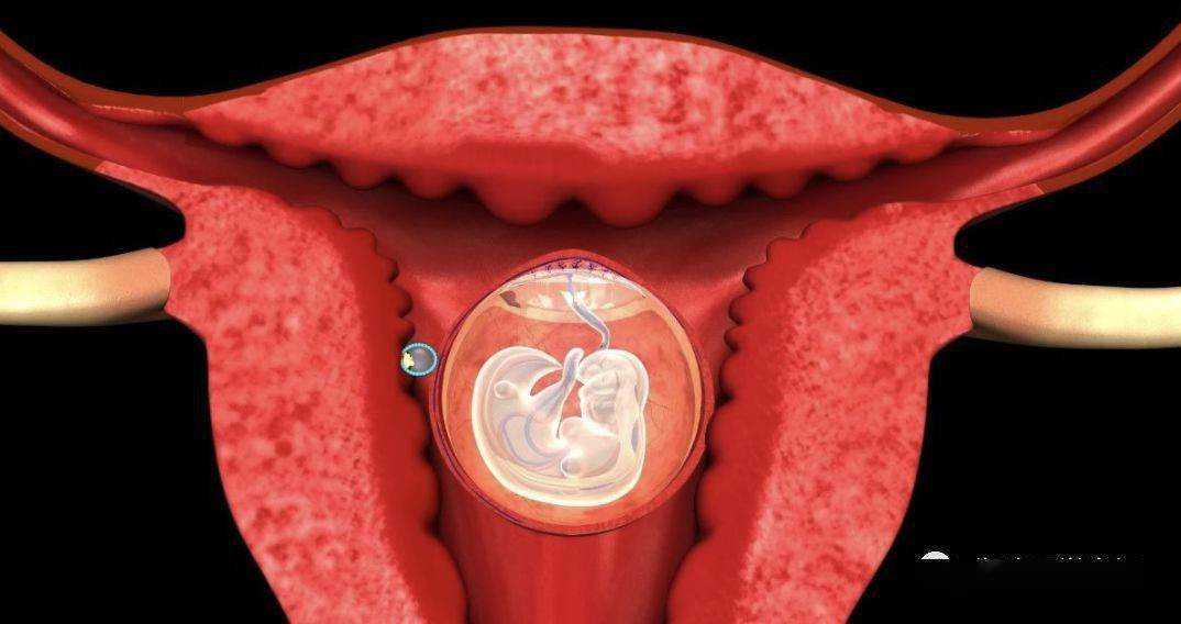 属马人4月运势大揭秘：机遇与挑战并存！
