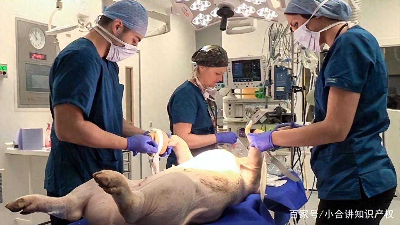 一脚踢开小人，挥手赶走霉运。2025年好运追着跑，事事顺到底。