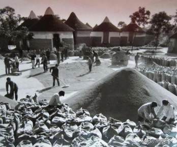 12星座下周运势揭秘(11月11日～17日)