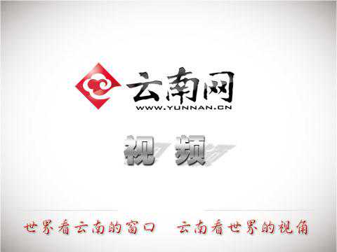 古典占星中的接纳和凶星相位