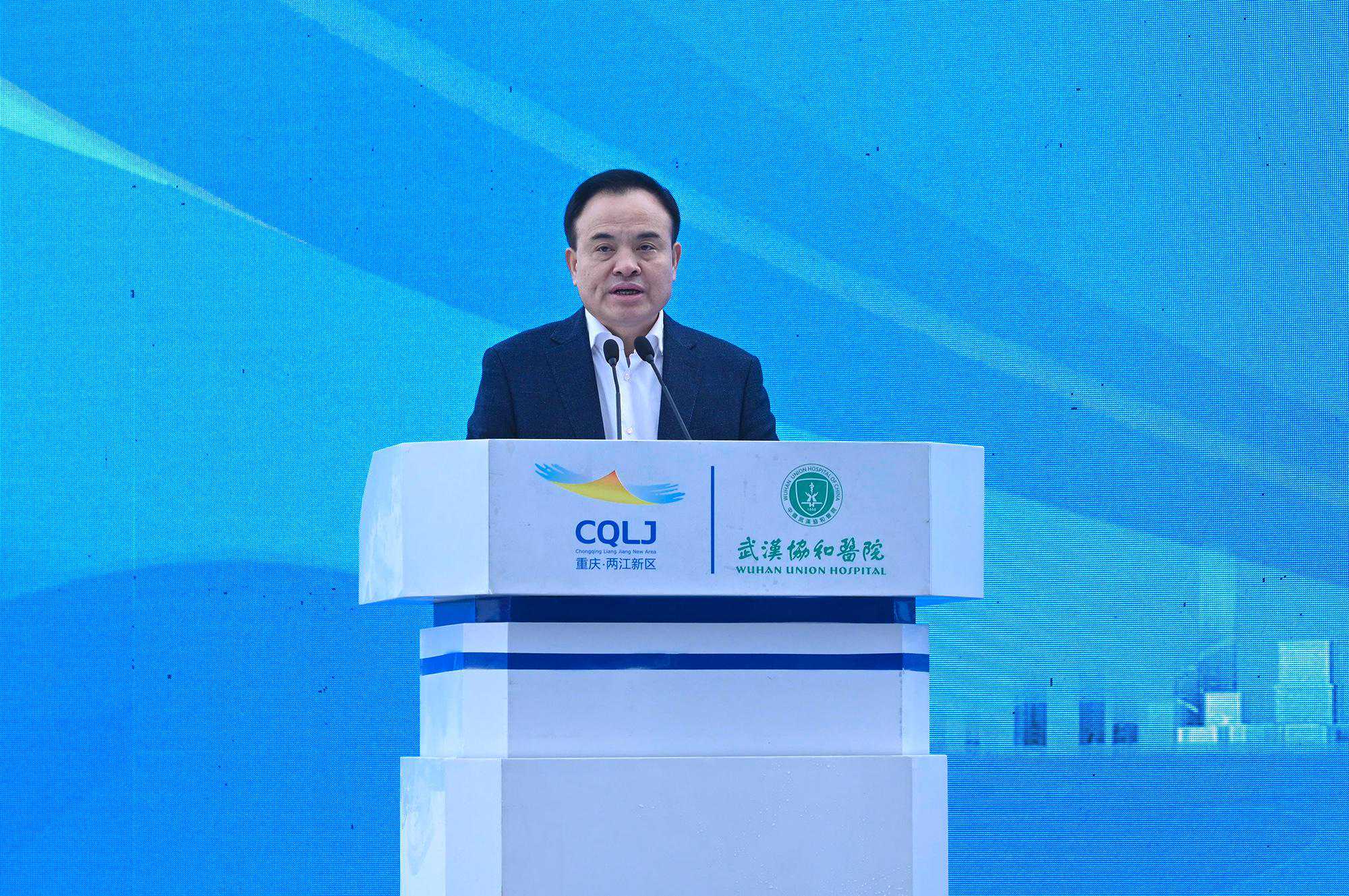 狮子座4月运势：逆境中的蜕变之旅