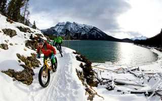 转运最快的方式是把自己重养一遍