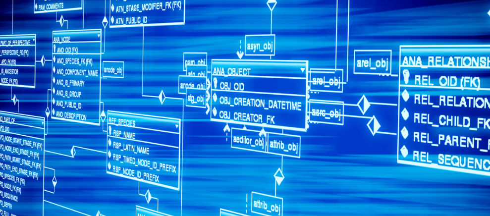 十二星座脱单攻略：你的未来另一半藏在这些星座里！